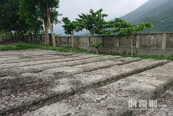 吉安真實版快樂農場，邀請鄉親一起來樂活