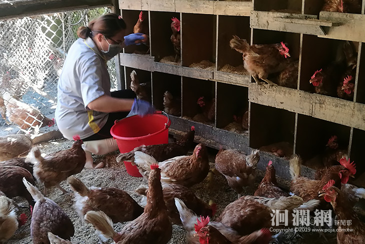 從產地到餐桌，世展培力原鄉蛋農多元發展烘培