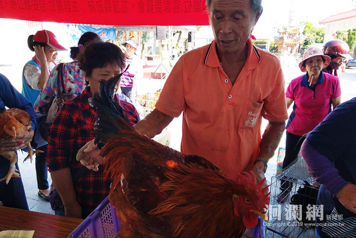 閹雞第二.jpg