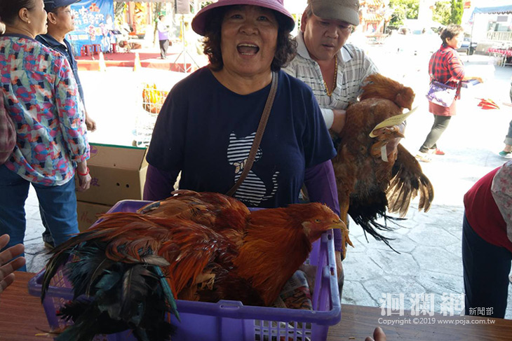 閹雞第一.jpg