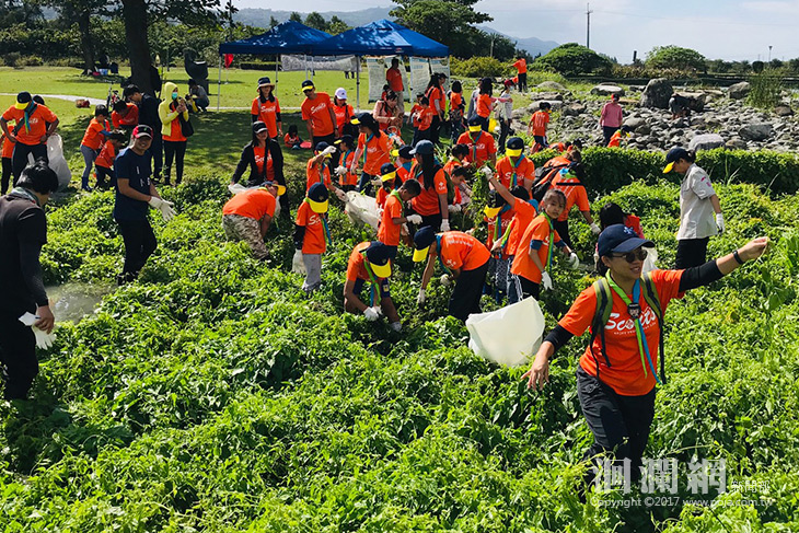 奇萊社區童軍團治樹癌，剷除150公斤小花蔓澤蘭