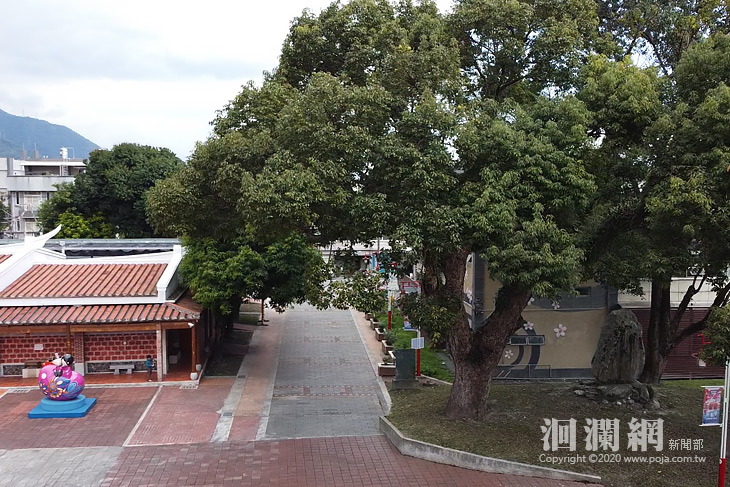 吉安鄉串聯各界為二百年老樹養護認證努力