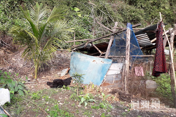 卓溪身亡黑熊剖檢結果出爐，研判高處墜落重傷再遭