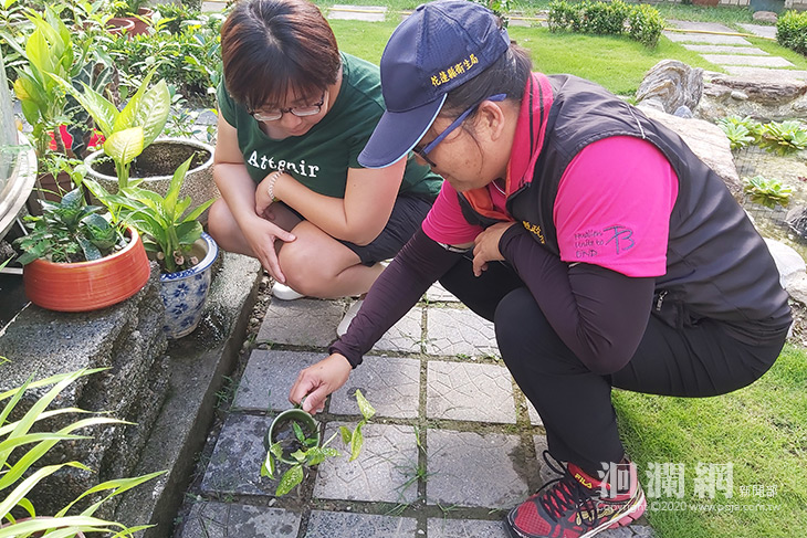 防治登革熱，清除環境孳生源，避免蚊蟲叮咬