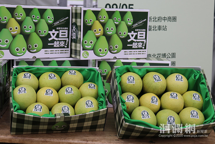 文旦策略聯盟十大產地農會聯合行銷，柚香禮券9月5
