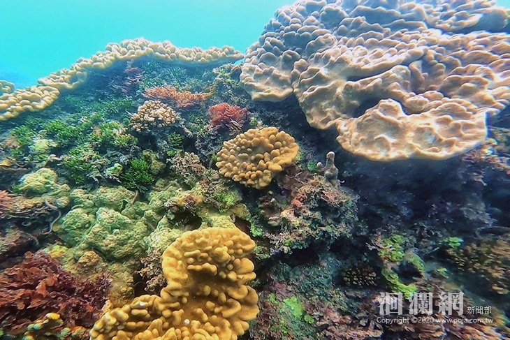 深度實踐森川里海精神 「新社海底地圖」成果發