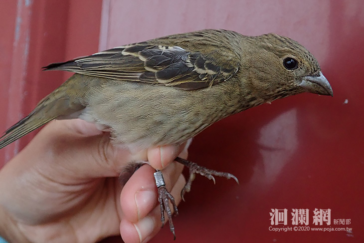 <a href=travel/taroko/2009-08-27/338.html target=_blank class=infotextkey>太魯閣</a>-01.jpg