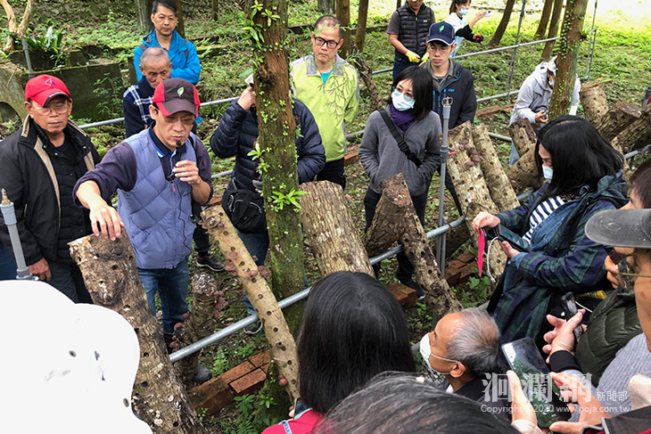 林管處辦理林下經濟段木香菇培植課程  廣受好評