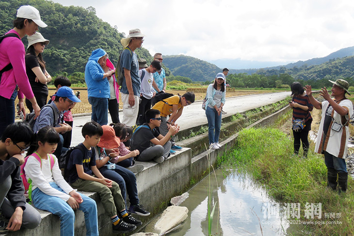 石頭陷阱與稻苗的情歌 Lamuan一日農獵體驗