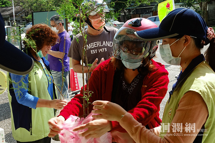 牛樟肖楠吸睛，林管處贈苗2小時兌領一空