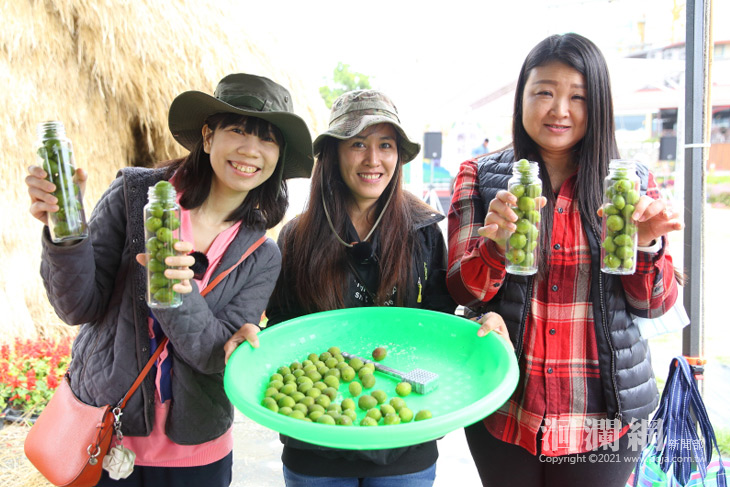 富里一連五天「梅好的一天‧手作音樂市集」吳汶