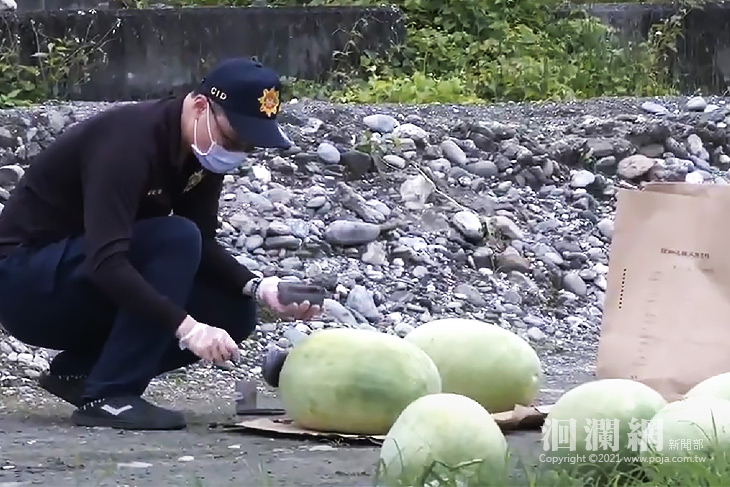 壽豐鄉西瓜田西瓜遭竊，吉安警成立專案小組全力偵