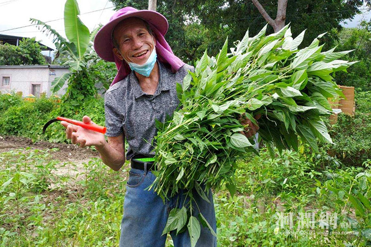 原味直送「野菜箱」 花蓮市訂購平台上線囉!!