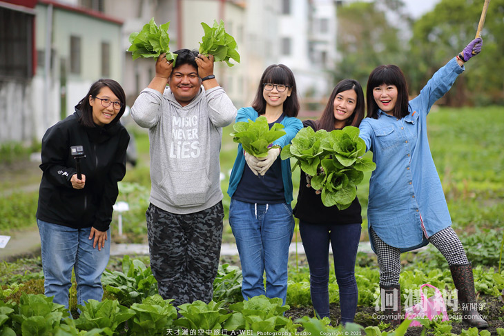 [影片]北昌快樂農園增額認養，65歲以上吉安長者可