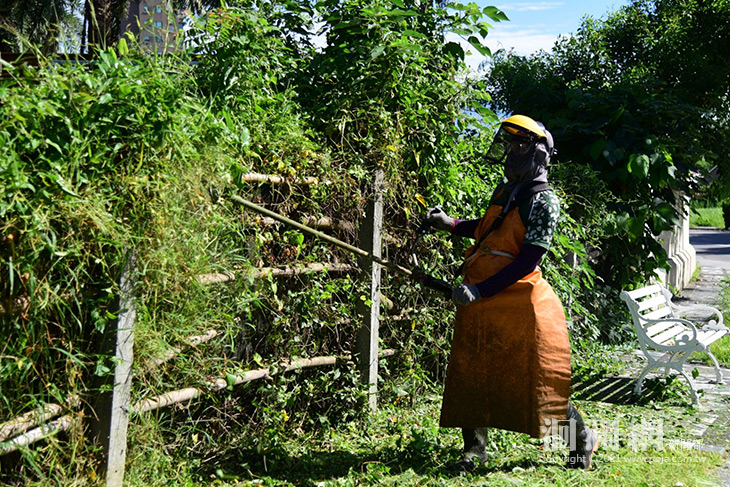 花蓮疫情趨緩，支援清消人力歸建加強市區除草作業