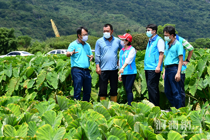 吉安鄉公所、吉安農會關心農情，嚴加防範風災影響