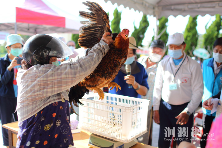 閹雞-09.jpg