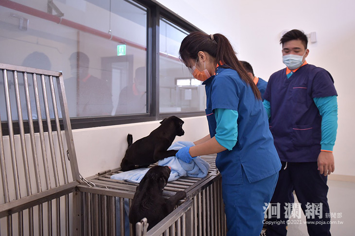 花蓮縣狗貓躍動園區落成啟用