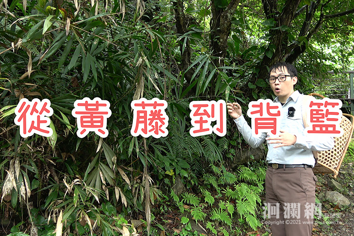 太管處頒發獎助學金13年，受惠學生成為解說生力軍