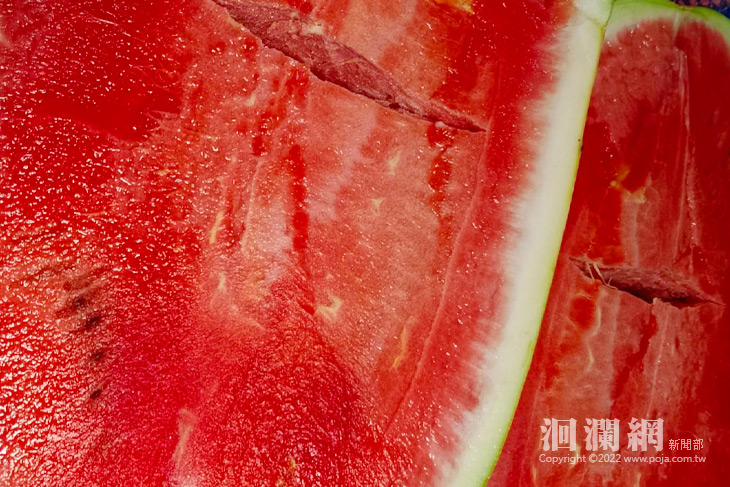 西瓜-03.jpg