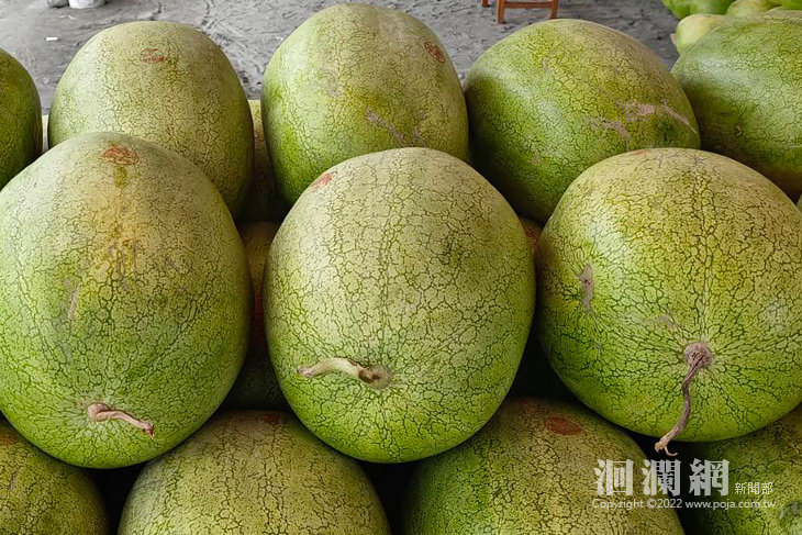 西瓜-01.jpg