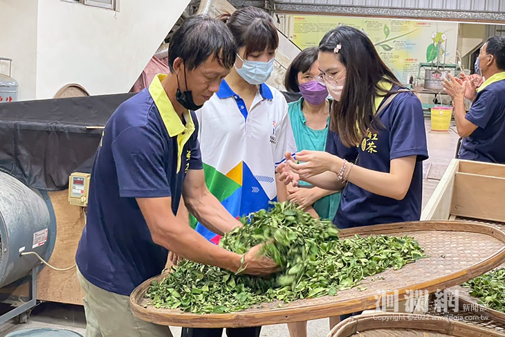 111年花蓮蜜香紅茶製茶技術競賽成績揭曉 青農新