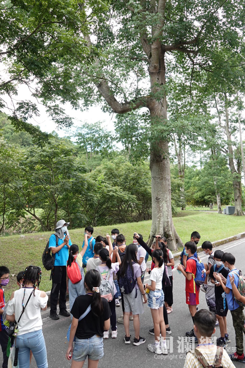 LINE_ALBUM_202283鯉享自然-兒童暑期環境教育營隊_220803_14.jpg