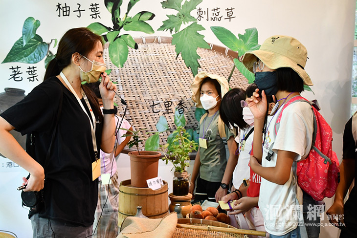 吉安鄉原生野菜體驗營開課，探索原汁原味部落知識