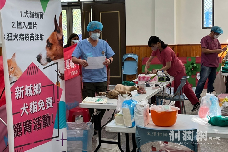 新城鄉犬貓三合一絕育名額再開放