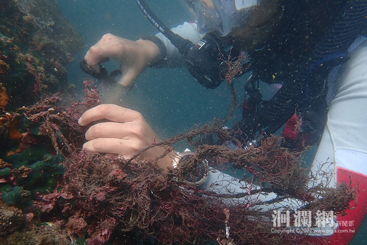 淨海聯盟生力軍 守護洄瀾太平洋