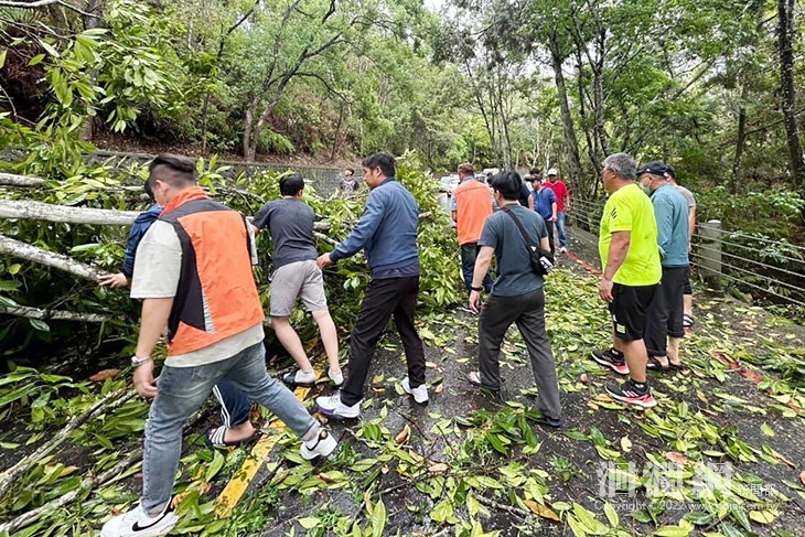 花蓮市國福巡守隊員們，移除倒塌路樹恢復通車