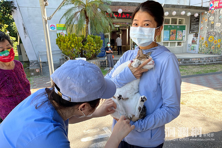 花蓮市8月9日起受理狂犬病疫苗預防注射暨寵物登
