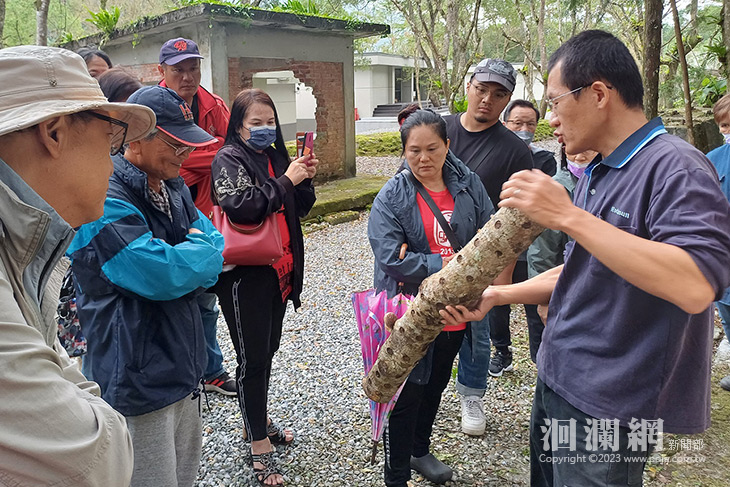 香菇列車開到萬榮 想吃香菇自己種