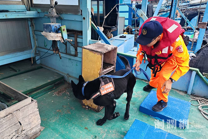 岸海聯合威力掃蕩 強力打擊走私不法
