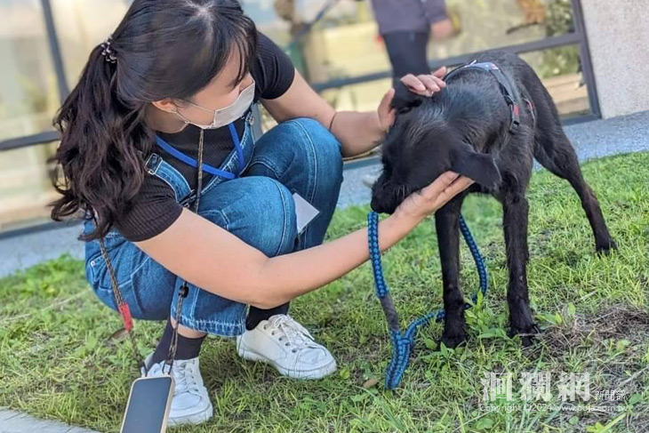 花蓮縣狗貓躍動園區送養推廣志工 報名囉