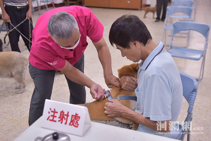 花蓮市狂犬病疫苗植寵物晶片8/8起開跑 可就近至