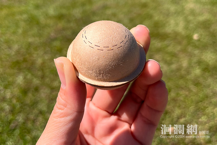 標靶治療 精準省工-無人機GPS定位投放赤眼卵寄