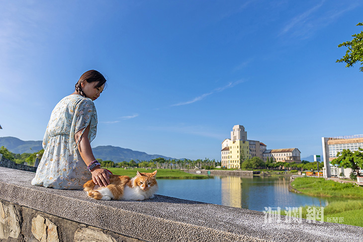 「寵」愛在一起 共創美好回憶 毛孩揪愛旅行攝影