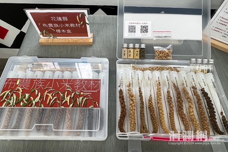 布農族小米教材」花蓮發表  傳承布農族小米多樣
