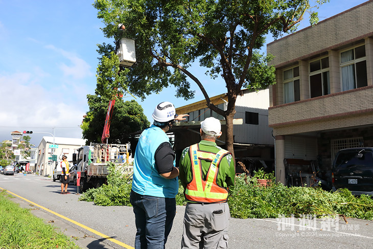 康芮颱風前花市樹木瘦身保平安  魏嘉彥:防颱準