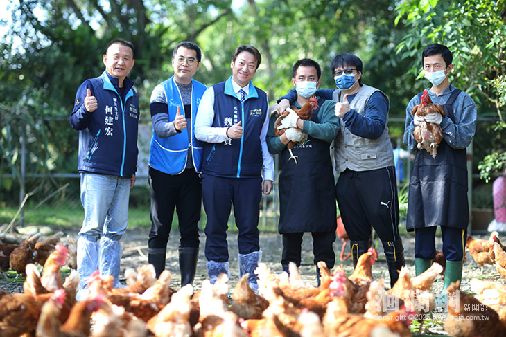 黎明方舟畜牧場蛋庫存逾萬顆 魏嘉賢號召各界採