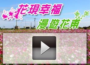 花東縱谷花海季