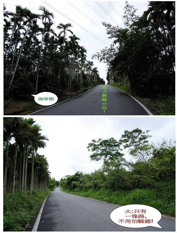  舞鶴單車道, 騎這裡比較安全