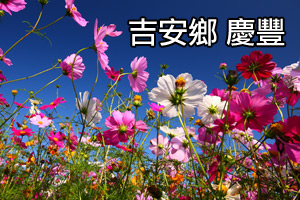 [影音]花東花海季-慶豐篇