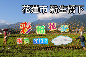 [影音]花東花海季-花蓮市-新生橋(十六股)