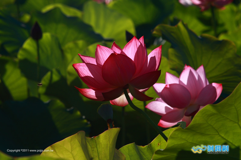 知卡宣森林公園