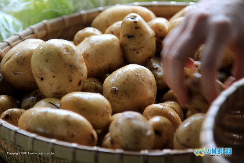 花蓮旅遊----花蓮好事集