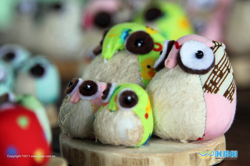 花蓮旅遊----池南樹屋「樹皮DIY」