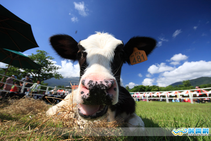 新光兆豐休閒農場