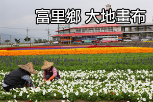 [影音]花東花海季-富里大地畫布
